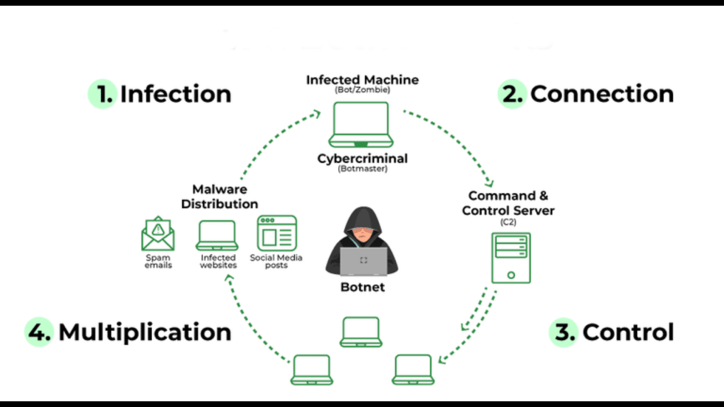 how botnet spread
