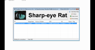 sharp eye rat
