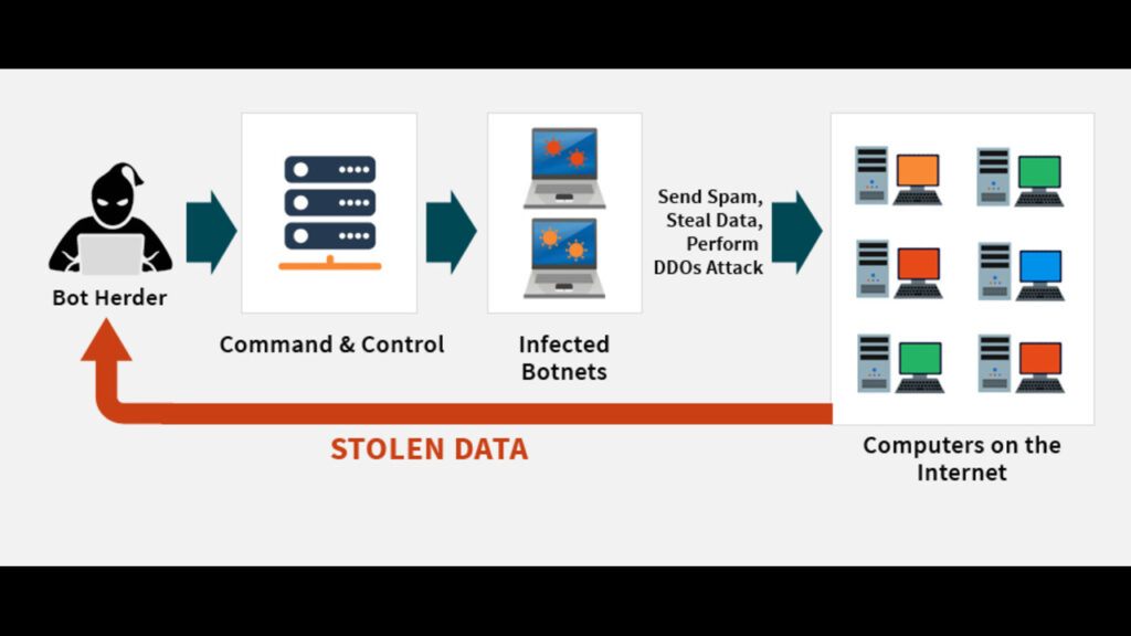war botnet crack