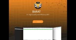 bit rat